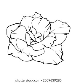Flor de Vector. Brote floral dibujado a mano. Sketch de contorno simple. Planta floreciente de grabado de Antiguas. Dibujo de ilustración lineal sobre fondo aislado
