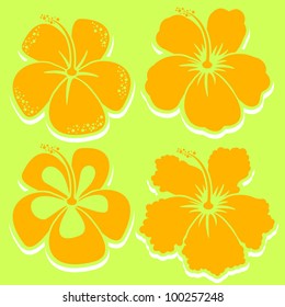 Vector Flower. Hibiscus Collection in yellow. Grouped for easy editing. Perfect for invitations or announcements. In gallery also collections in other colors.