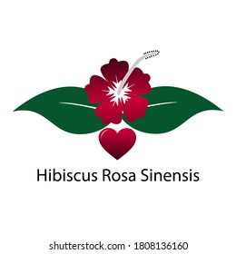 vector flower Hibiscus Rosa Sinensis icon template isolated on white background. eps 10