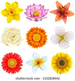 Vector Flower Icons Set 2 isolated on white background