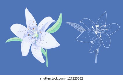 vector flower illustration