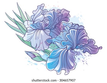 Vector flower illustration