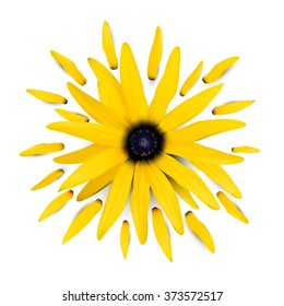 vector flower illustration