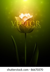 vector flower illustration