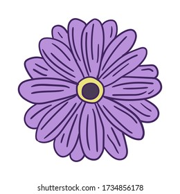 Vector Flower Illustration Assets template design