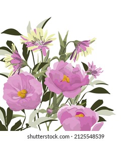 Vector flower illustration. Pink peonies on a white background.