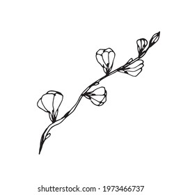 Vector Flower. Illustration for postcards and invitations. Drawing for printing. Doodle.