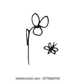 Vector Flower. Illustration for postcards and invitations. Drawing for printing. Doodle.