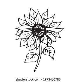Vector Flower. Illustration for postcards and invitations. Drawing for printing. Doodle.
