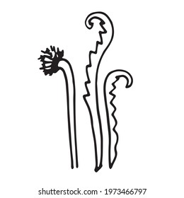 Vector Flower. Illustration for postcards and invitations. Drawing for printing. Doodle.
