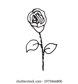 Vector Flower. Illustration for postcards and invitations. Drawing for printing. Doodle.