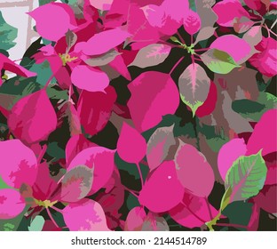 Vector flower illustration template, Flower in the garden illustration