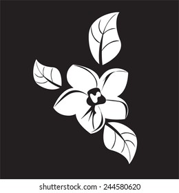 Vector Flower illustratoin