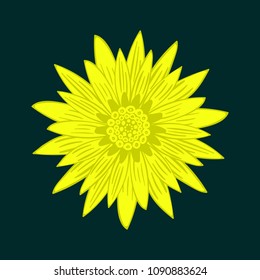 Vector Flower Isolated. African Camomile Gasania or Gerbera on a Blue Background. Beautiful Yellow Flower with Bold Contour in Ethnic Style. Round Mandala. Sun Stylization. Creative Decorative Flower.