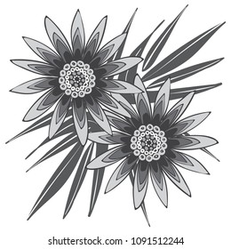 Vector Flower Isolated. African Camomile Gasania or Gerbera. Creative Flower Stylization. Bold Line Style. Beautiful Detailed Flower with Bold Contour in Ethnic Style for Your Design. Round Mandala.