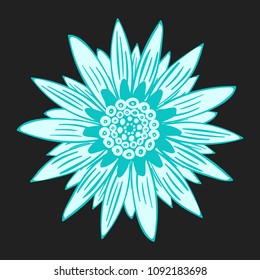 Vector Flower Isolated. African Camomile Gasania or Gerbera on a Black Background. Stylized Blue Flower with Bold Contour in Ethnic Style. Round Mandala. Creative Decorative Flower for Your Design.