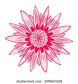 Vector Flower Isolated. African Camomile Gasania or Gerbera on a White Background. Beautiful Pink Flower with Bold Contour in Ethnic Style. Round Mandala. Creative Decorative Flower for Your Design.