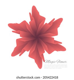 Vector flower isolated illustration. Floral design element. Creative natural flowers background for business blank, card, flyer, banner, invitation, brochure cover design template with text box.