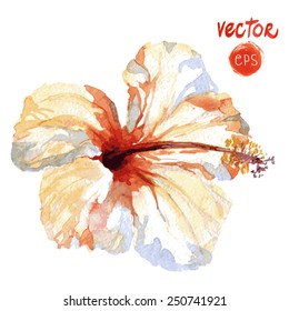 vector flower isolated on white background. exotic flowers. watercolor vector hibiscus. tropical flower isolated. realistic flower of spring. 