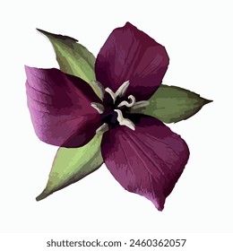 Vector flower and leaves isolated item
