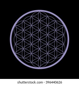 Vector flower of life strokes