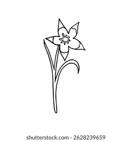 Vector flower in line art style. Botanical illustration.
