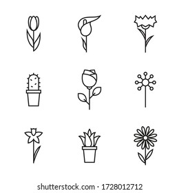 Iconos de la línea de flor del vector. Rosa, gamuza, aloe, león, cactus, daffodil, clavo, lirio, tulipán.