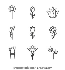 Vector flower line icons. Rose, chamomile, aloe, dandelion, cactus, daffodil, clove, lily, tulip.