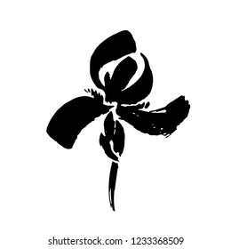 Vector flower logo. Floral background. Calligraphy ink. Stylized calligraphic ink iris. Modern brush calligraphy.