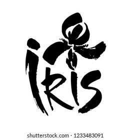 Vector flower logo. Floral background. Calligraphy ink. Stylized calligraphic ink iris. Modern brush calligraphy.