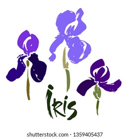 Vector flower logo. Floral background. Calligraphy ink. Stylized calligraphic ink iris. Modern brush calligraphy.