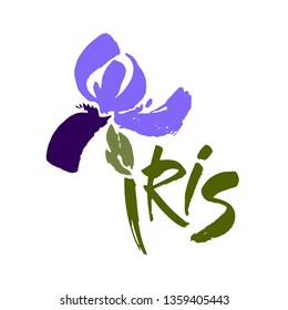 Vector flower logo. Floral background. Calligraphy ink. Stylized calligraphic ink iris. Modern brush calligraphy.