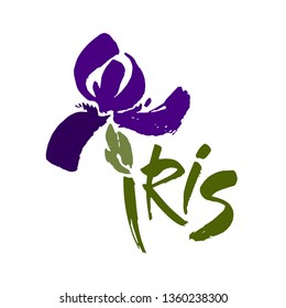 Vector flower logo. Floral background. Calligraphy ink. Stylized calligraphic ink iris. Modern brush calligraphy.