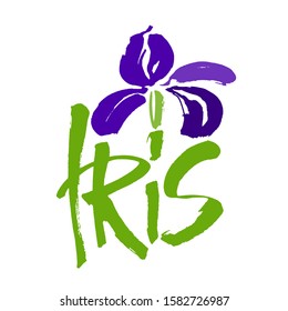 Vector flower logo. Floral background. Calligraphy ink. Stylized calligraphic ink iris. Modern brush calligraphy.
