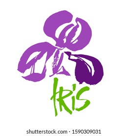 Vector flower logo. Floral background. Calligraphy ink. Stylized calligraphic ink iris. Modern brush calligraphy.