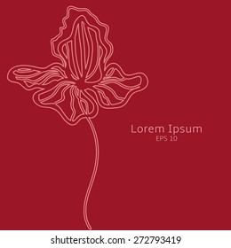 Vector flower logo. Floral background. Iris  illustration