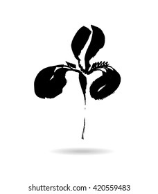 Vector flower logo. Floral background. Calligraphy ink. Stylized calligraphic ink iris.