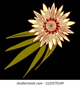 Vector Flower or Mandala. Hand Drawn Style. Beautiful Blossom with Petals. Isolated African Camomile, Gerbera or Daisy. Stylized Flower for Card, Tablecloth, Paper, Tile, Pattern, Wedding Design.