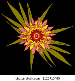 Vector Flower or Mandala. Hand Drawn Style. Beautiful Blossom with Petals. Isolated African Camomile, Gerbera or Daisy. Stylized Flower for Card, Tablecloth, Paper, Tile, Pattern, Wedding Design.