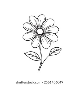 Vector  Flower, Nature Image  Design