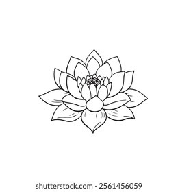 Vector  Flower, Nature Image  Design