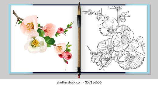 Vector of Flower on book and Hand drawn rose zen tangle style for coloring page