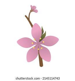 Flor de pimienta vectora en una rama. Ilustración de un melocotón florido sobre un fondo blanco aislado