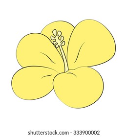 Vector  flower on a white background.