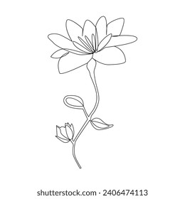 Vector flower in one line art drawing isolated on white background minimalist 