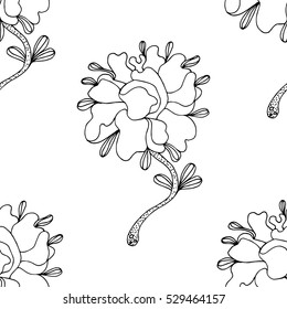 vector flower ornament. Coloring book for adults