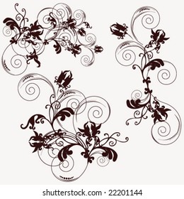 Vector Flower ornament isolated