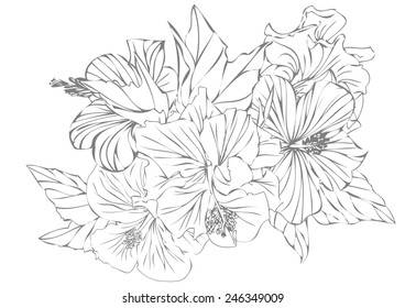 Vector flower painting stripes for background and text