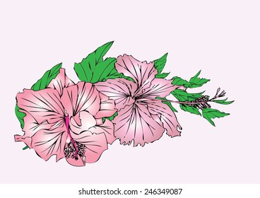 Vector flower painting stripes for background and text