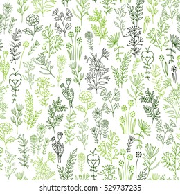 Vector flower pattern. Colorful seamless botanic texture, detailed flowers illustrations. Doodle style, spring floral background.